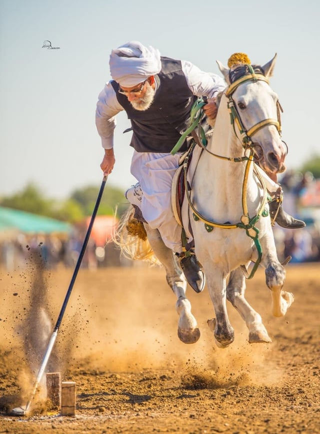 Tent Pegging
